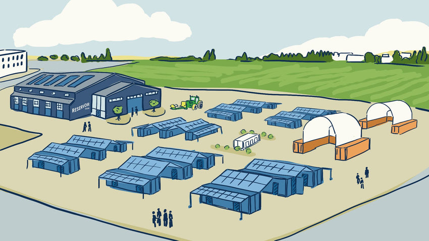 Pack x10 | Lucek Flat BP03/3 Cristal con 2 Apagadores Sencillos y 1 de Escalera